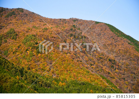 厳立峡の美しい紅葉風景 厳立峡の美しい紅葉風景 85815305