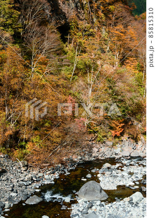 厳立峡の美しい紅葉風景 85815310