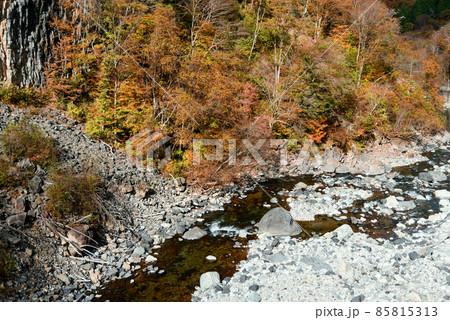 厳立峡の美しい紅葉風景 85815313