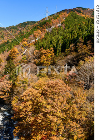 厳立峡の美しい紅葉風景 85815325