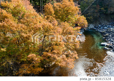 厳立峡の美しい紅葉風景 厳立峡の美しい紅葉風景 85815328