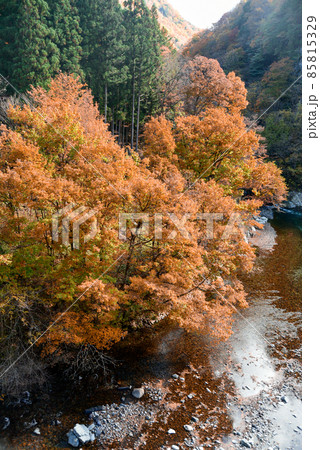 厳立峡の美しい紅葉風景 85815329