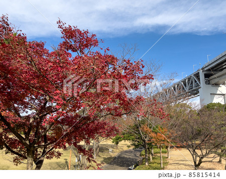 秋の瀬戸大橋記念公園 85815414