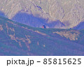 武能岳からのJR送電線管理小屋と白崩避難小屋 85815625