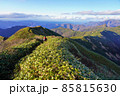 武能岳からの七ツ小屋山への稜線を歩く登山者 85815630