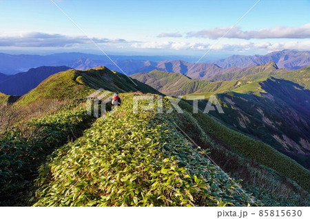 武能岳からの七ツ小屋山への稜線を歩く登山者 85815630
