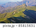 武能岳からの大源太山への稜線と笹原 85815631