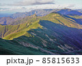 武能岳からの七ツ小屋山への稜線と笹原 85815633