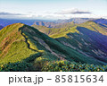 武能岳からの七ツ小屋山への稜線と笹原 85815634