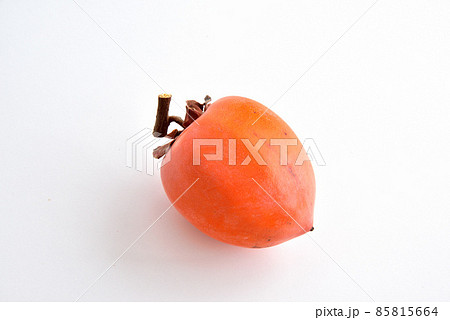 ふで柿 カキ 柿 秋イメージ 秋色 かき色 ふで柿 カキ 柿 秋イメージ 秋色 かき色 85815664