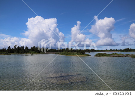 夏の雲 85815951