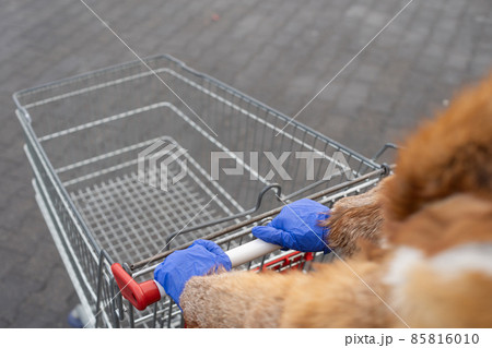During a pandemic, you must wear latex gloves on your hands when shopping at any store. 85816010