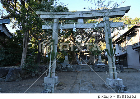 鎌倉八坂大神 85816262