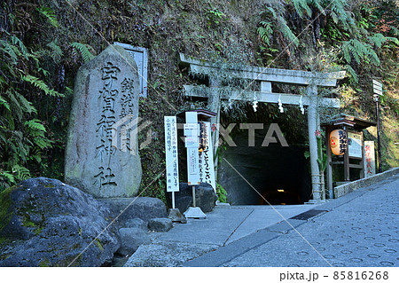 銭洗弁財天宇賀福神社 85816268