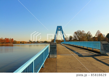 東京都葛飾区の水元公園にある水元大橋 歩行者専用 東京都葛飾区の水元公園にある水元大橋 歩行者専用 85816629