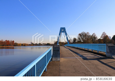 東京都葛飾区の水元公園にある水元大橋 歩行者専用 東京都葛飾区の水元公園にある水元大橋 歩行者専用 85816630