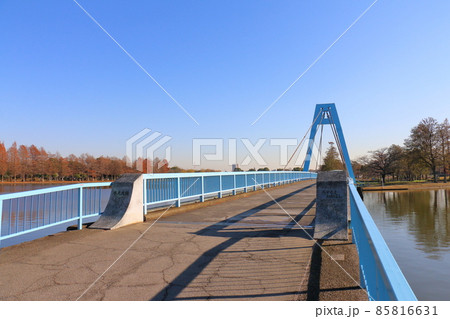 東京都葛飾区の水元公園にある水元大橋 歩行者専用 東京都葛飾区の水元公園にある水元大橋 歩行者専用 85816631