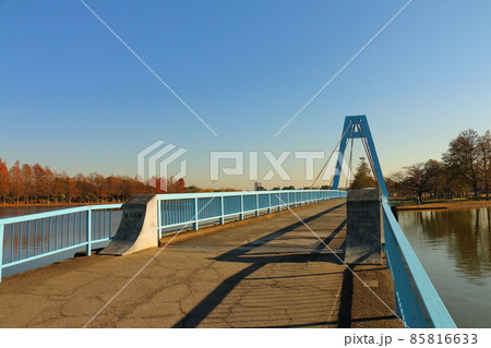 東京都葛飾区の水元公園にある水元大橋　歩行者専用 85816633