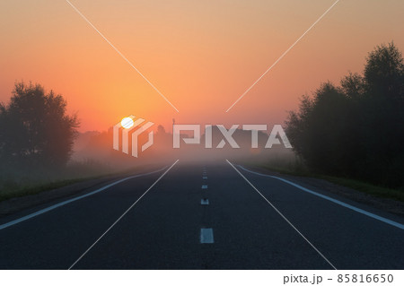 Empty Road Leading to Golden Sunrise on Foggy Morning 85816650