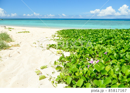 波照間島ニシ浜の超絶景 85817167