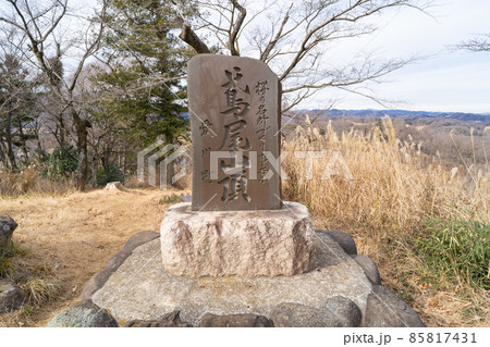 鳶尾山の山頂（東丹沢） 85817431