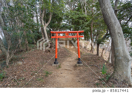 鳶尾山金毘羅社（東丹沢） 85817441