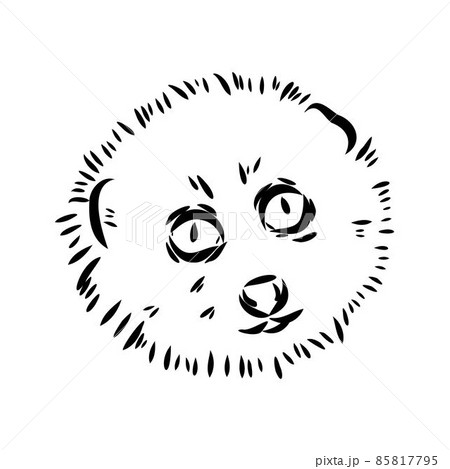 Lemur Loris on a tree vector illustration, hand drawn sketch, black and white. Ink pen cute lori chinese animal sitting on a tree. 85817795