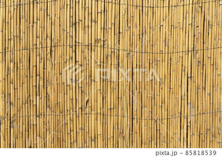 Bamboo background. Old bamboo fence Bamboo background. Old bamboo fence 85818539