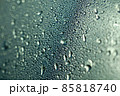 A drop of water on a tree sheet close-up 85818740