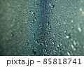 A drop of water on a tree sheet close-up 85818741