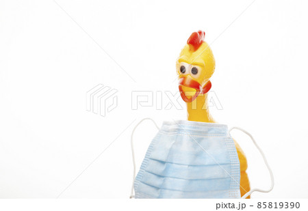 image of mask rubber chicken white background image of mask rubber chicken white background 85819390