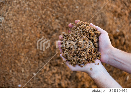 Brewer's feed in hands 85819442