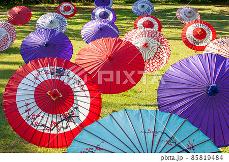 芝生に並べたいくつもの和傘の写真素材 [85819484] - PIXTA