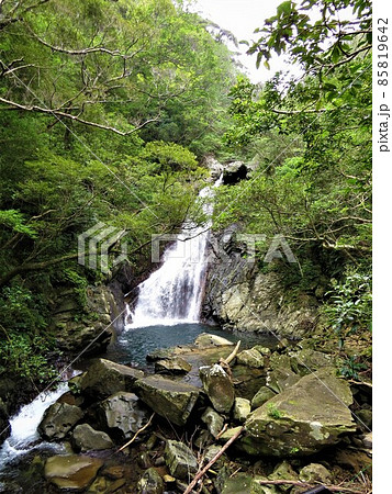 沖縄県国頭村比地の大滝 85819642