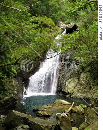沖縄県国頭村比地の大滝 85819645