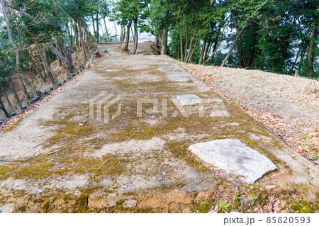 河内長野市　烏帽子形城跡 85820593