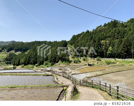 五月晴れの青空に映える田植え直後の棚田［四谷千枚田/愛知県新城市］ 85821616
