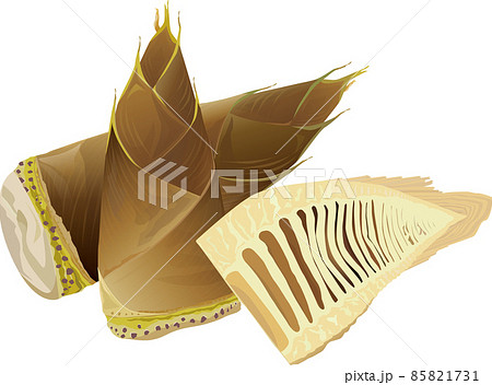 タケノコ 85821731