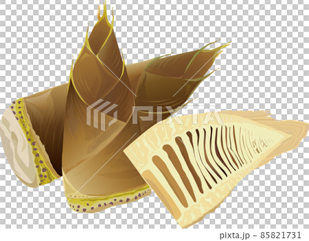 タケノコ 85821731