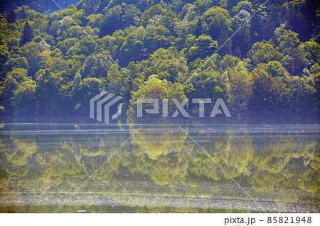 鏡面の水面が美しき桂沢湖 85821948