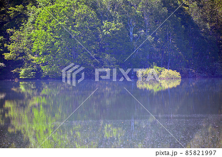 鏡面の水面が美しき桂沢湖 85821997