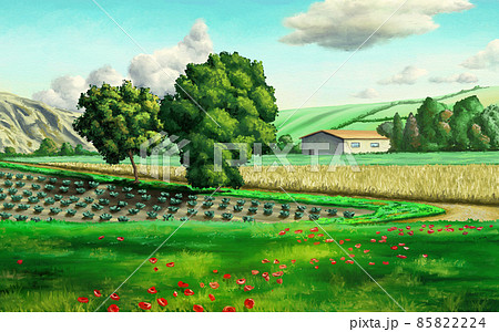 Rural landscape Rural landscape 85822224