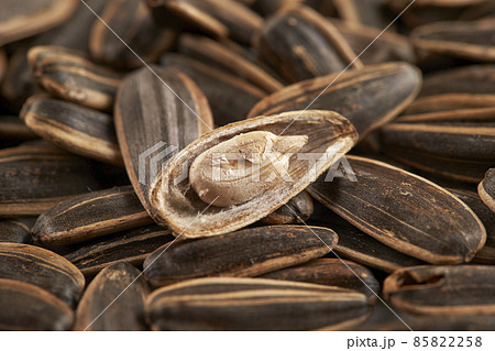 ひまわりの種 85822258