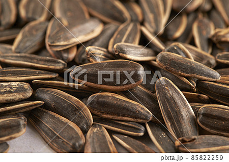 ひまわりの種 85822259