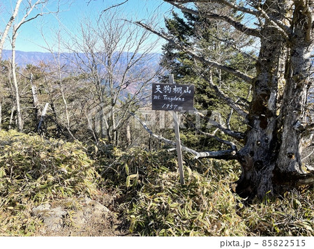 天狗棚山 天狗棚山 85822515