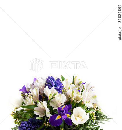 Flower composition. White and purple spring flowers isolated on a white background. Vertical orientation. Copy space. 85822896