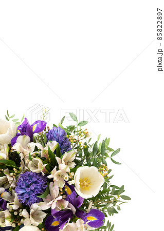 Border with purple and white spring flowers isolated on a white background. Beautiful floral composition. Vertical format. Copy space, top view, flat lay. Border with purple and white spring flowers isolated on a white background. Beautiful floral composition. Vertical format. Copy space, top view, flat lay. 85822897