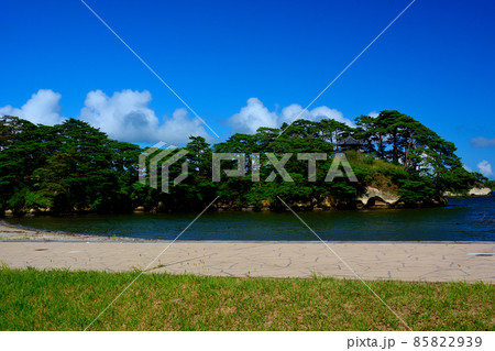 松島・松島公園・浪打浜公園から、正面に浮かぶ雄島を眺める・東北・宮城県(2) 松島・松島公園・浪打浜公園から、正面に浮かぶ雄島を眺める・東北・宮城県(2) 85822939