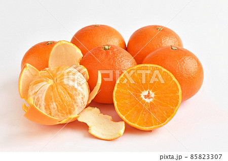 天草（あまくさ） 85823307