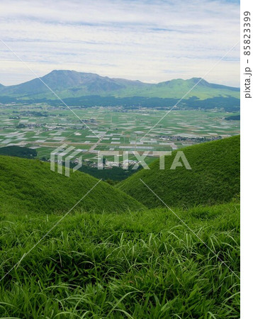 初夏の阿蘇 大観峰からの景色 (熊本県) 初夏の阿蘇 大観峰からの景色 (熊本県) 85823399